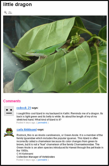 An example conversation.