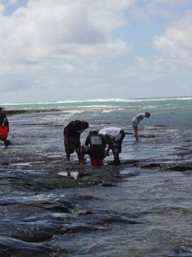 Looking at marine life