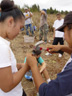 Preparing water bottles