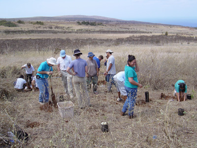 Planting