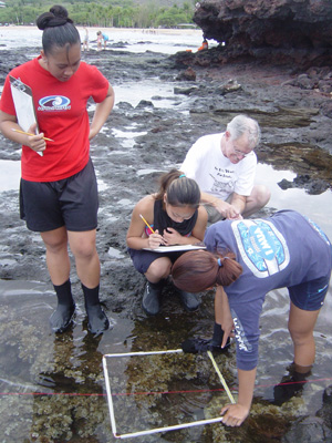 Manele Bay quadrats