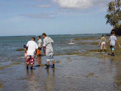 Kahala flats