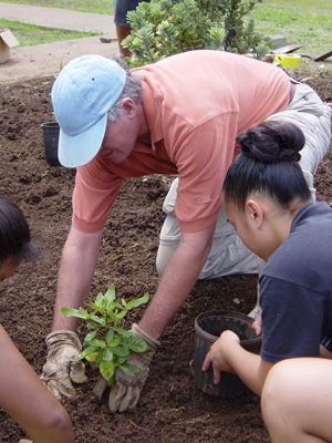 Planting