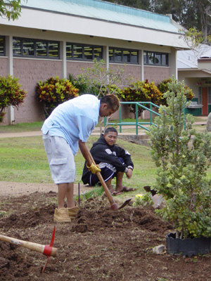 Digging