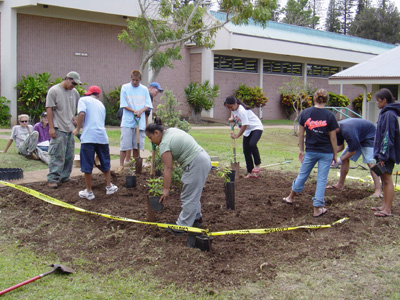 Planting