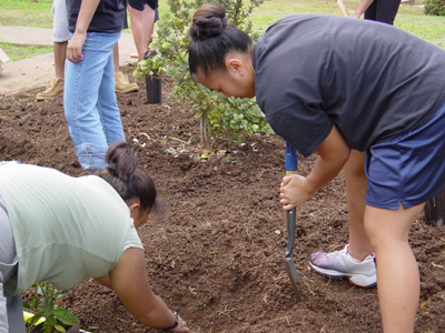 Digging holes