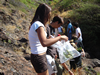 Link to biological assessment gallery