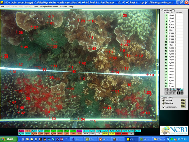 CPCE Transect