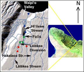 Waipio stream map
