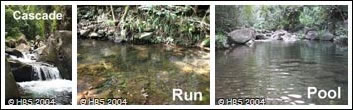 stream habitats