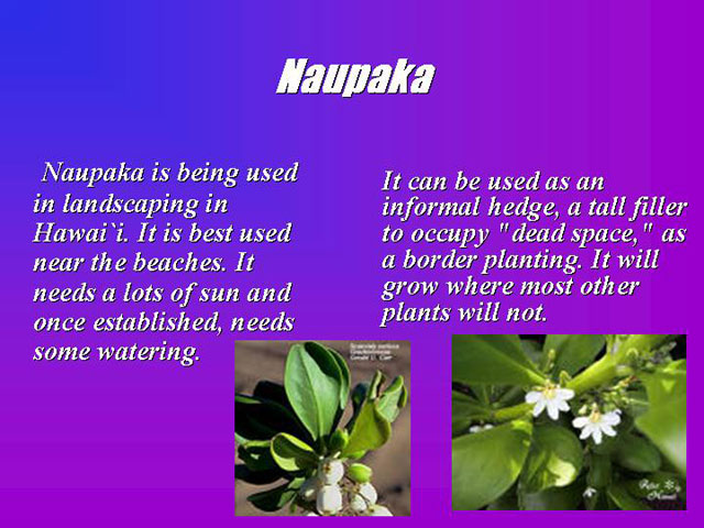 Slide10