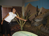 Getting up close and personal with robotic reptiles