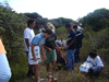 Botanical assessment of the plot