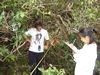 Recording data