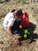 Watering the outplant