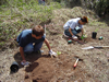 Preparing the ground for the new plants