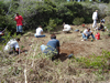 Outplanting at Kanepuu