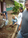Weeding other garden plots