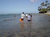 Reef walking