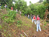 Area to be cleared and outplanted