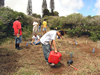 Watering the outplants